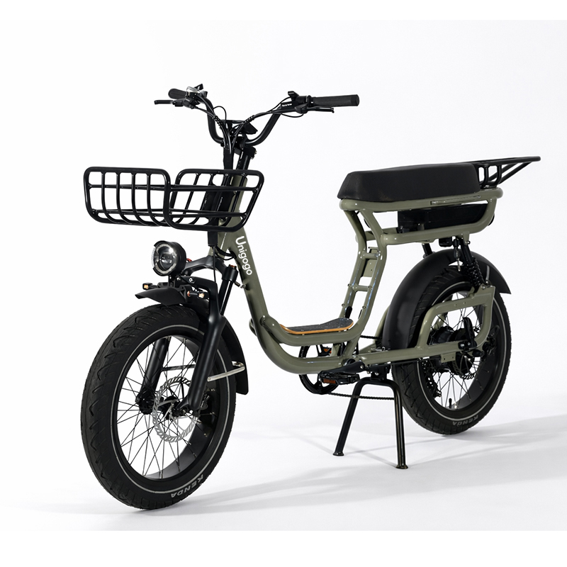 N3 20 Zoll Elektro-Mountainbik – Mountain Biking App Bewertung und Preis