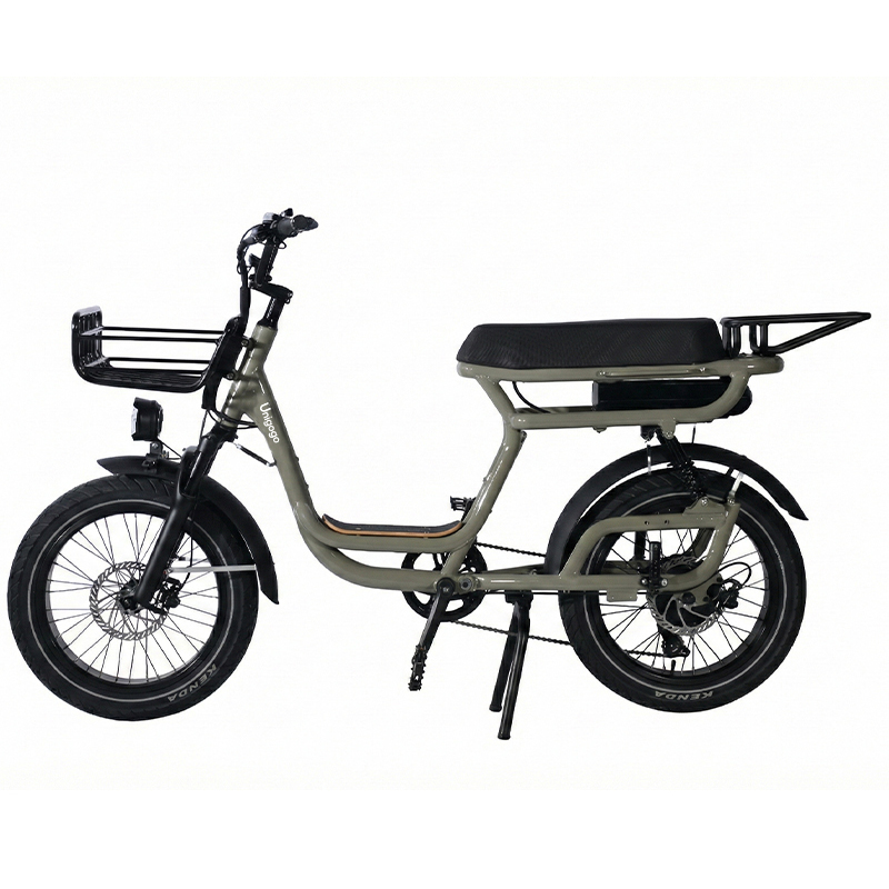N3 20 Zoll Elektro-Mountainbik – Mountain Biking App Bewertung und Preis